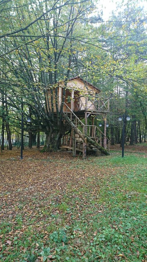 Bolu Koru Hotels Spa & Convention Yolcatı Zewnętrze zdjęcie